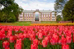 Stor bygning i tegl med hvite detaljer rundt vinduene. Bed fullt av røde tulipaner i forgrunnen, oransje tulipaner litt bak
