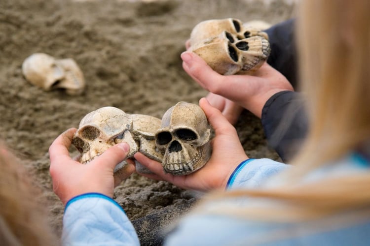 Barn leter i sandkasse etter forskjellige typer hodeskaller på Forskningstorg i Bergen.
