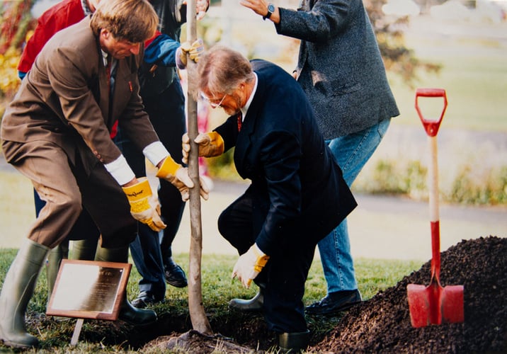 To menn i dress og slagstøvler planter et tre. 