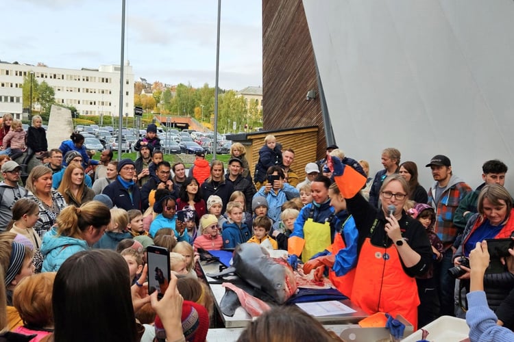 Folkemengde med barn og voksne ser på at forskere dissekerer hai på et forskningstorg.